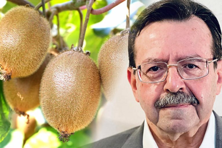 Το Ελληνικό Ακτινίδιο: Ανάλυση Παραγωγής, Εξαγωγών και Παγκόσμιας Θέσης