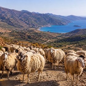 lesvos