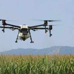 DRONE