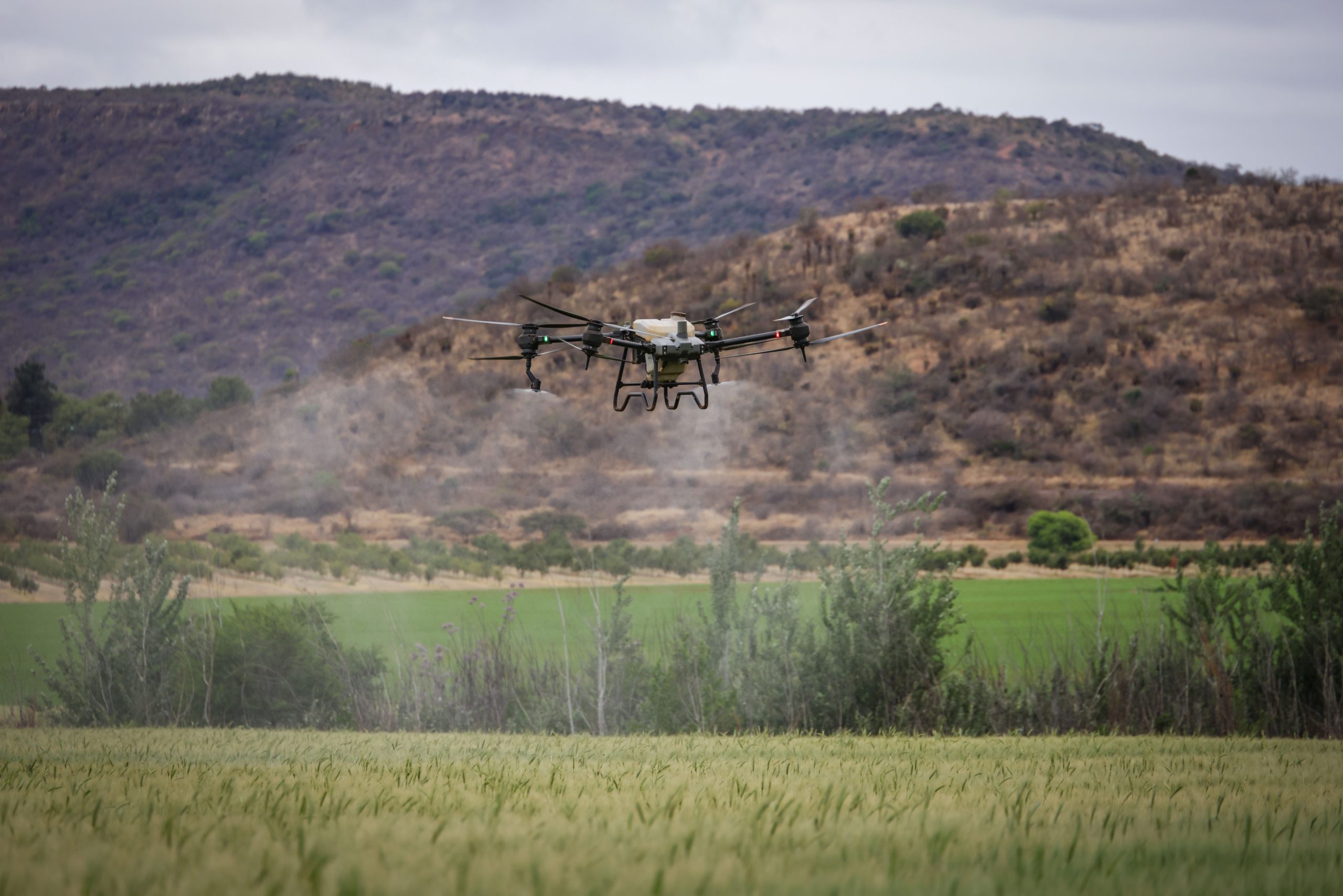 drone