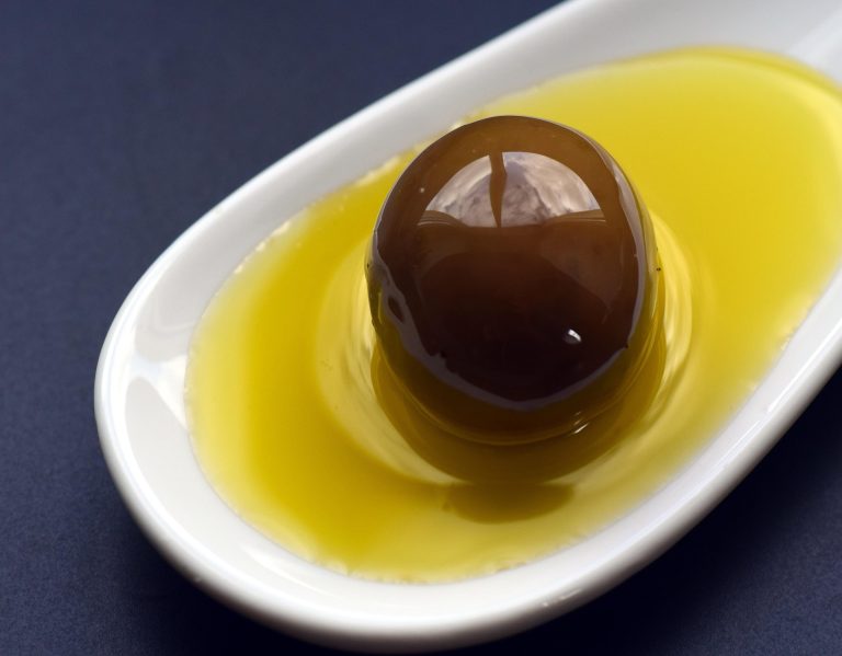 ulleo-olive-2258631_1920