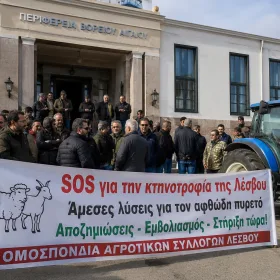 lesvos_ktinotrofoi_afthodis_pyretos